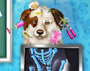 Play Dog Pet Rescue Game