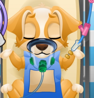 Play Puppy Surgery Game