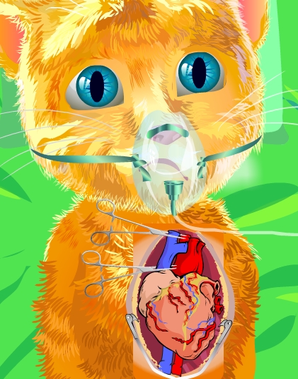 Play Ginger Heart Surgery Game