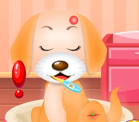 Play My Pet Doctor Puppy Care Game