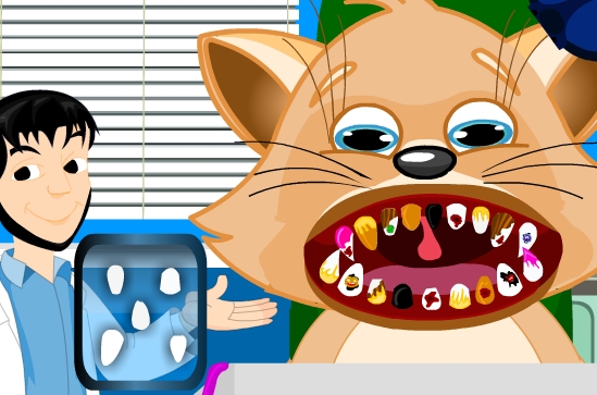 Play Cat Dental Care Game