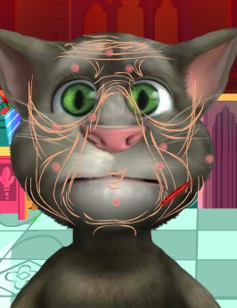 Play Talking Tom Cosmetic Surgery Game