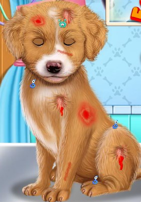 Play Fashion Pet Doctor Game