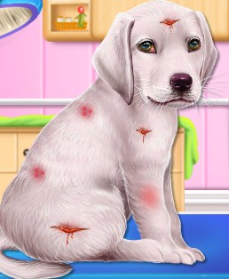 Play Labrador Puppy Care Game