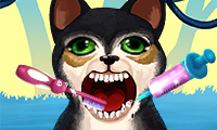 Play Become an Animal Dentist Game