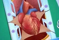 Play Heart Bypass Surgery Game