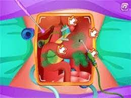 Play Princess Gallbladder Surgery Game