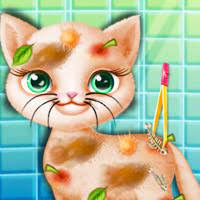 Play Save Stray Cat Game