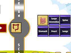 Play Human Organ Scanner Game